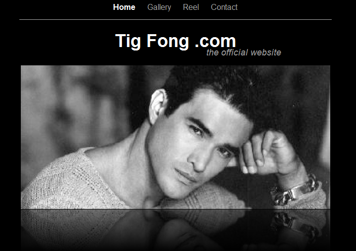 www.tigfong.com